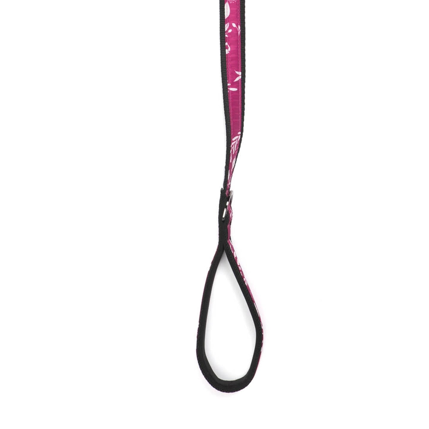 Fetch Pet Collar and Leash Set