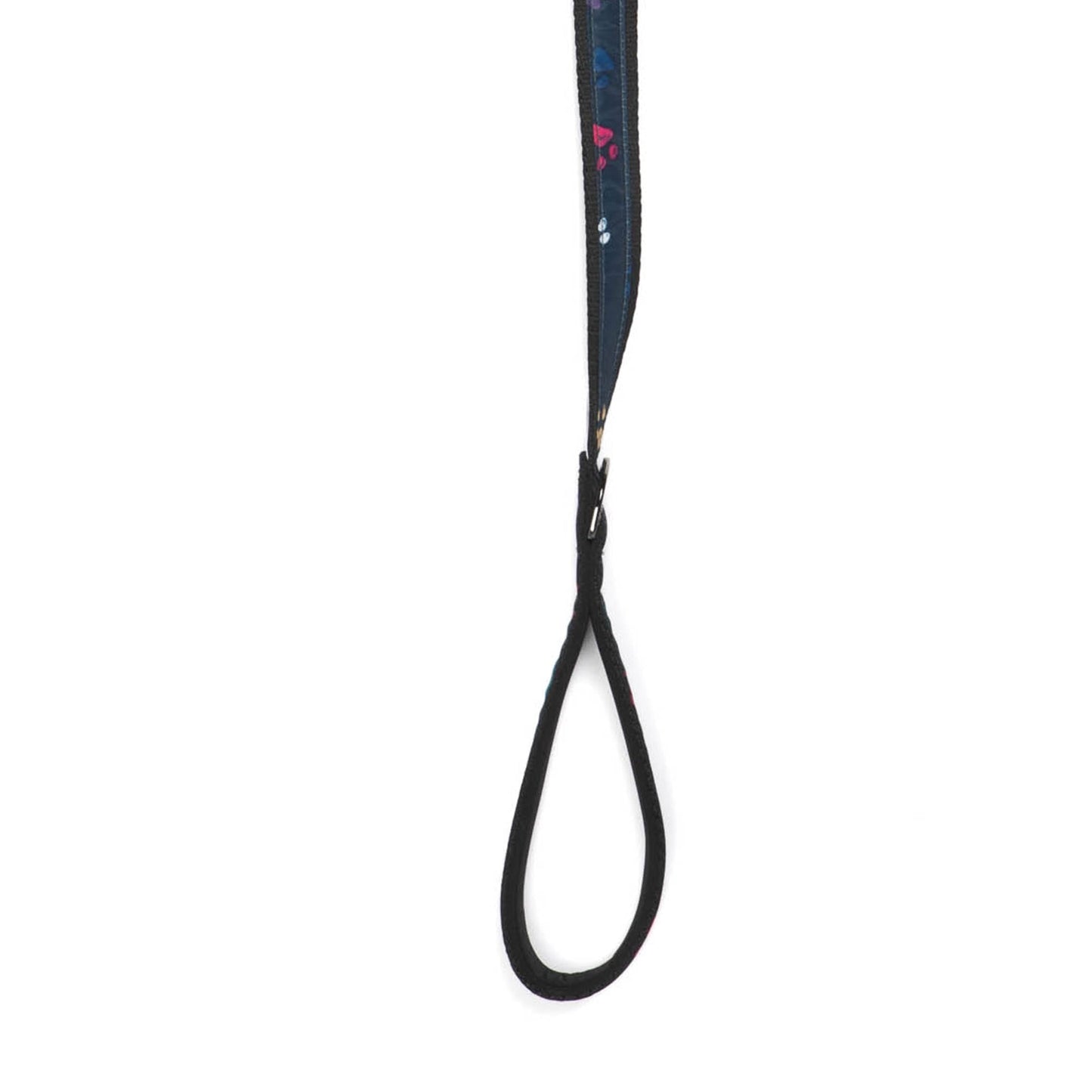 Fetch Pet Collar and Leash Set