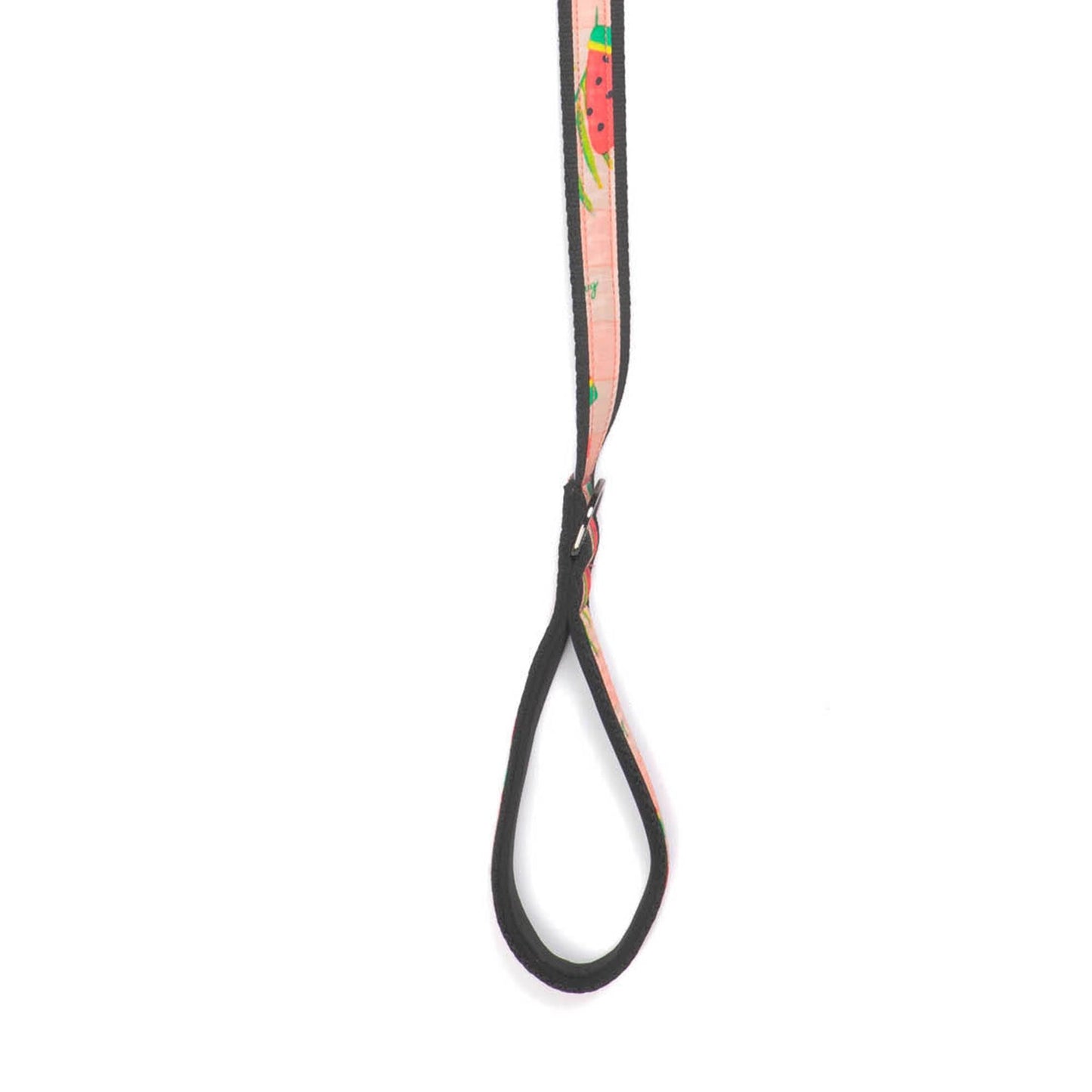 Fetch Pet Collar and Leash Set