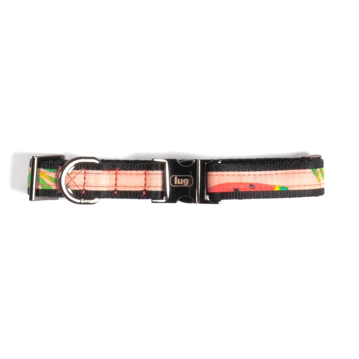 Fetch Pet Collar and Leash Set